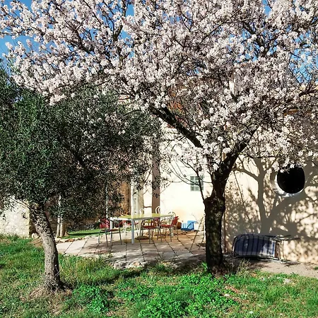 Σπίτι διακοπών Rue De Montels Eglise Μονπελιέ